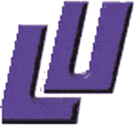 Liberty Flames 1988-2000 Alternate Logo heat sticker